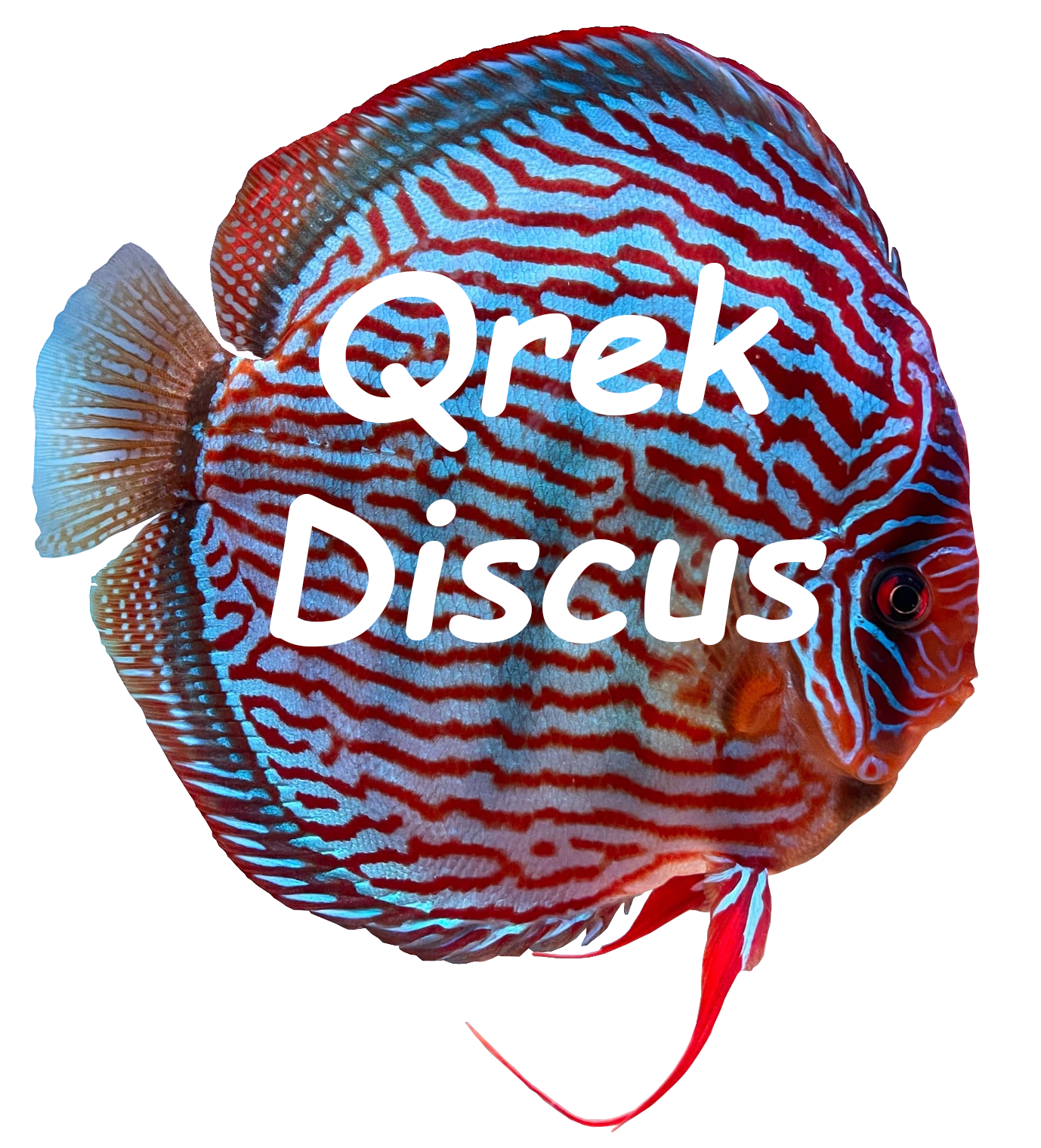 Qrek Discus — logo